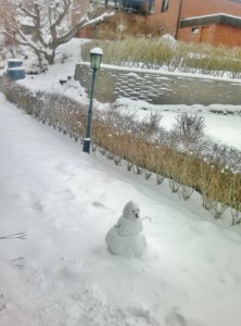رجل الثلج في باحة المنزل - السويد.